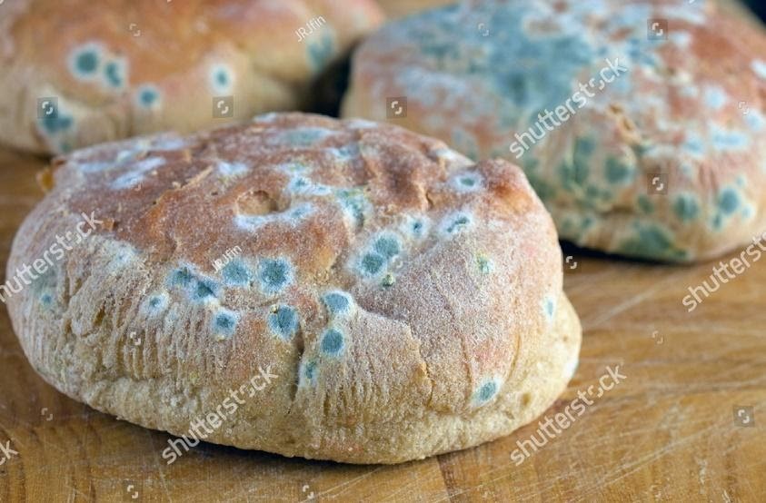 mousumi-monthly-essay-competition-header-ad