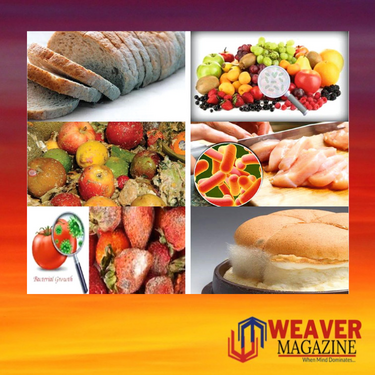 mousumi-monthly-essay-competition-header-ad