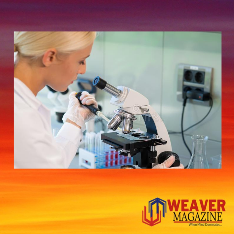 mousumi-monthly-essay-competition-header-ad