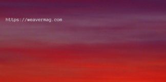 How to deal with anxiety due to Homestay(Corona control)