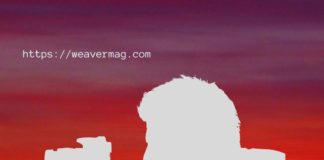 Photography : Career Institutes Books and More