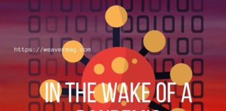 In the Wake of a Pandemic