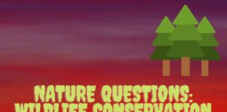 Nature Questions: Wildlife conservation
