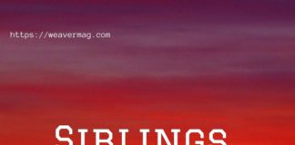Siblings: The Unsung Bond