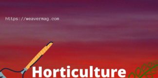 World’s Best Horticulture Gadgets in 2020