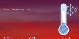 Climate Change and the Way Out