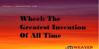 Wheel:- The Greatest Invention Of All Time