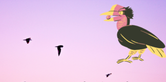 The Hornbill Festival