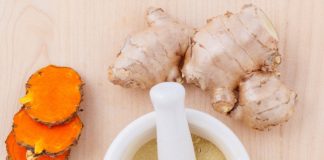 World Homeopathy Day