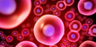 WHAT IS STEM CELL TECHNOLOGY