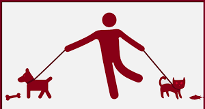 A Conflict between Profit and Privacy