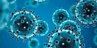 It’s been 30 years since the end of the COVID-19 pandemic, what does the world look like?