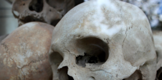 The 1994 Genocide against Tutsi: A big turnaround for Rwanda