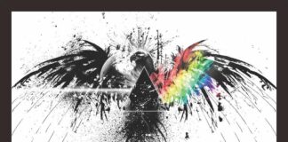 A Graphic Designer from an Art art