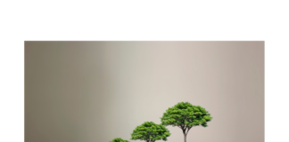 Green Business Environment: How Start-ups can Help Save our Environment