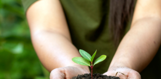 The Role of an Individual in Conserving Environment