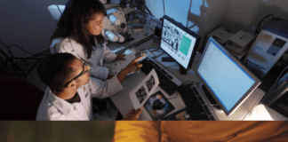 Essay vs Research paper