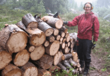 How To Cut Firewood on Ground: 5 Most Efficient Tips How To Cut Firewood on Ground 5 Most Efficient Tips