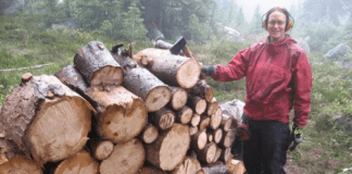 How To Cut Firewood on Ground: 5 Most Efficient Tips How To Cut Firewood on Ground 5 Most Efficient Tips
