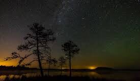 Enigmatic Unveiled Pathways Embrace the Night