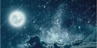 Poem: Embrace the Night