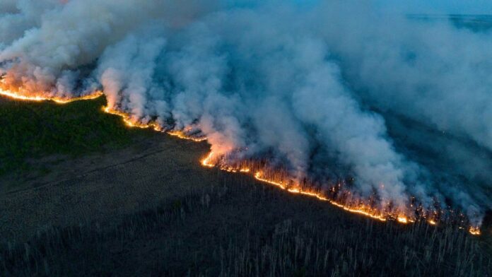 Canada Fire