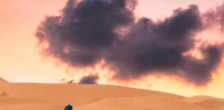 A Melting Pot of Languages: Exploring Morocco’s Official Languages A Melting Pot of Languages