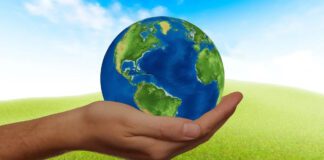 Greening Business: A Sustainable Approach to Technology Technology for greening business