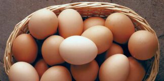 Is Egg Good For Eczema? Discover The Truth! egg and eczema relation