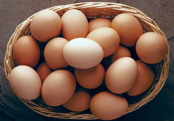 egg and eczema relation