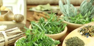 Herbs For Cleansing The Body: Powerful Natural Detox Remedies herbs
