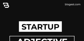 The Pinnacle of Innovation: Exploring the Adjectives that Define Startups