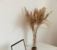 Building an Effective MVP Website with WordPress: A Comprehensive Guide for Startups