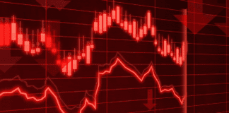 Mastering the Bond Market: Types and Tips for Successful Fixed-Income Investing