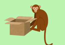 A Reflective Controversy: The Monkey Holding a Box