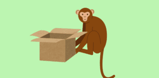 A Reflective Controversy: The Monkey Holding a Box