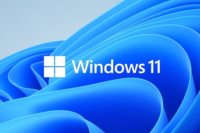 Windows 11 License