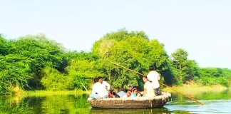 What are the vital benefits of planning a trip to Dandeli city? trip to Dandeli city