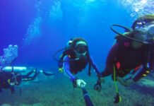 Your Guide to Learning Scuba Diving in Kona Scuba diving