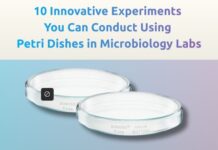 10 Innovative Experiments You Can Conduct Using Petri Dishes in Microbiology Labs