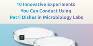 10 Innovative Experiments You Can Conduct Using Petri Dishes in Microbiology Labs